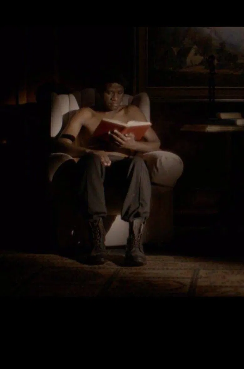 Red Rooster poster background