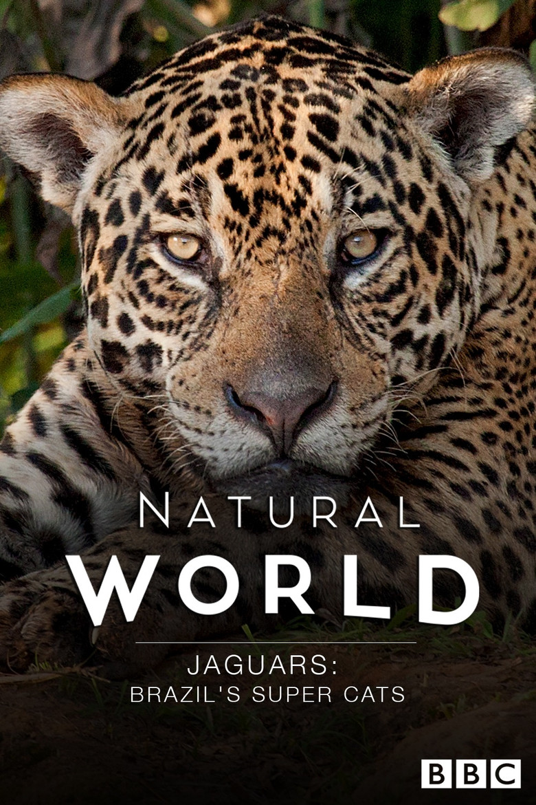 Jaguars: Brazil's Super Cats poster background