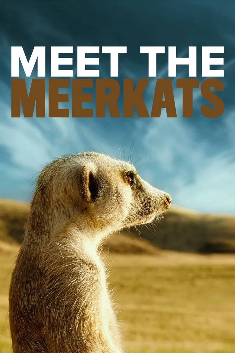 Meet the Meerkats poster background