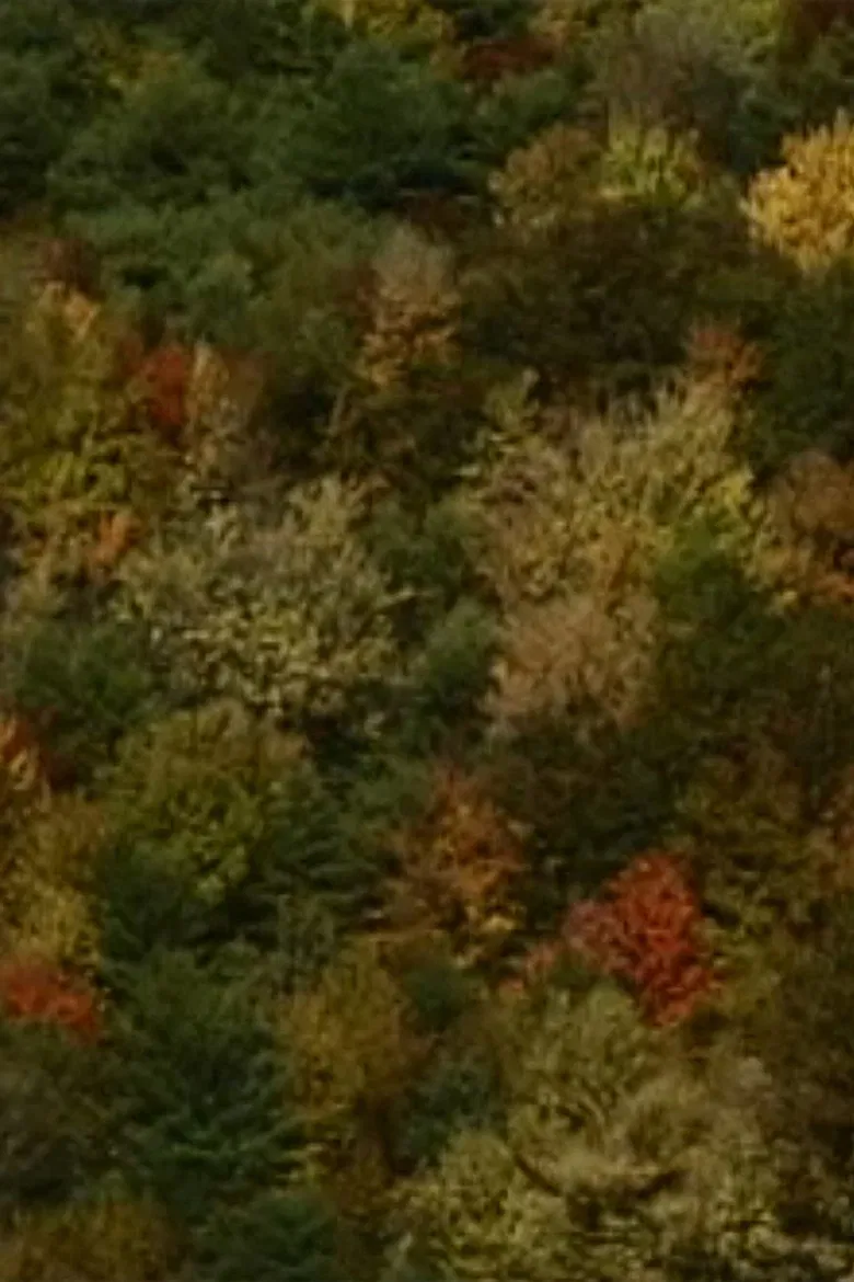 Color Study poster background