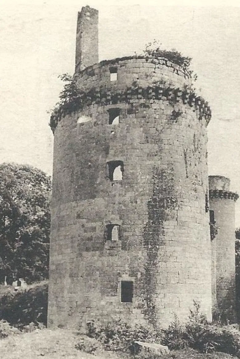 La Hunaudaye poster background