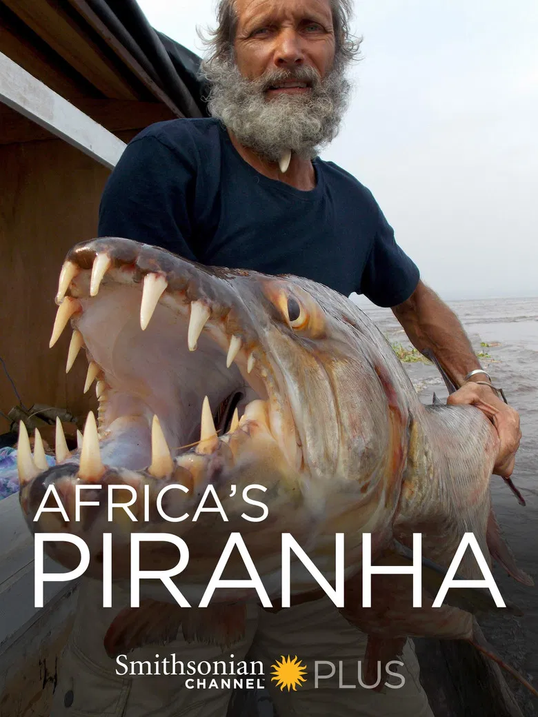 Africa's Piranha poster background