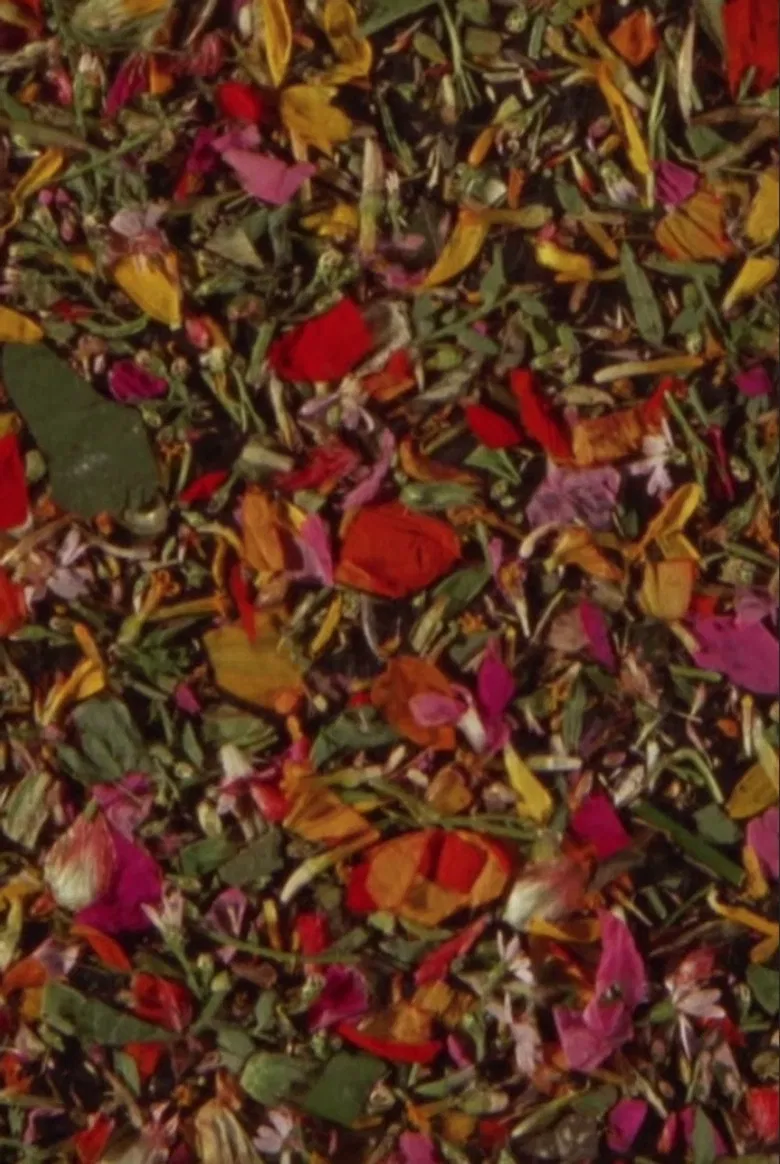 M*U*S*H poster background