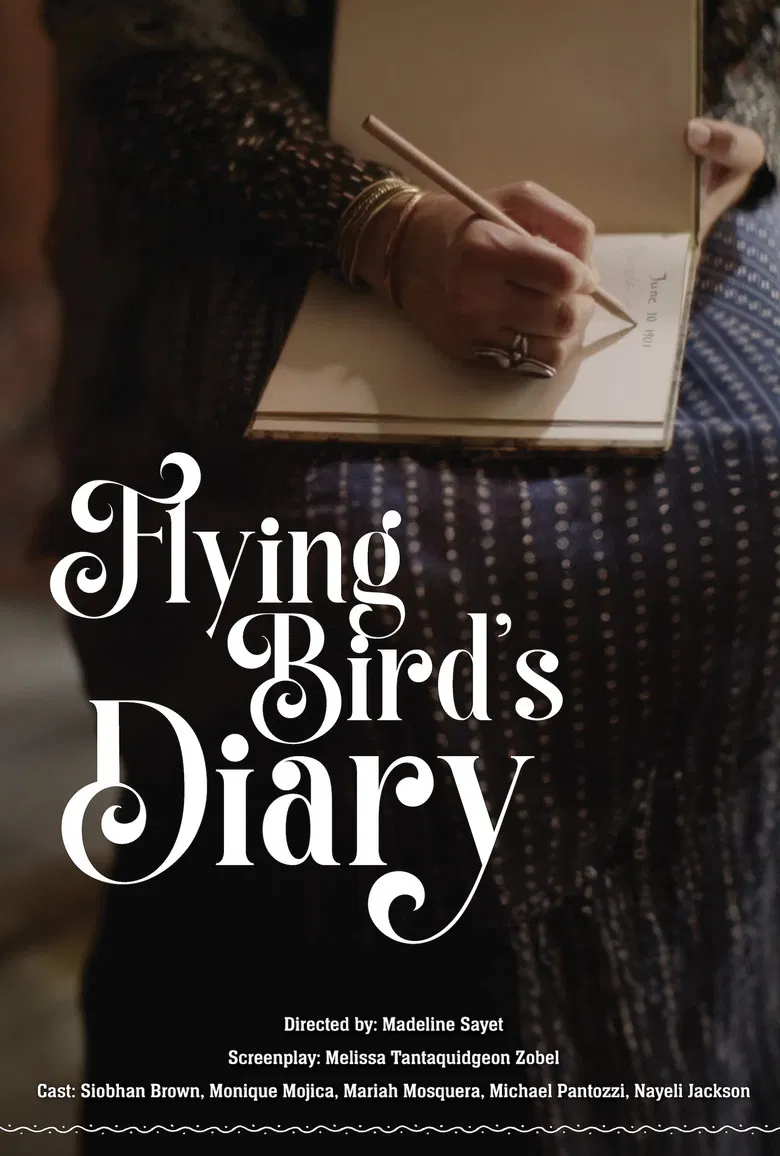 Flying Bird's Diary poster background