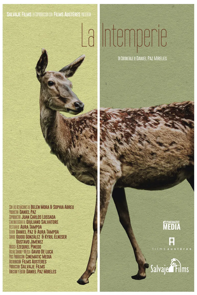 Out in the Open poster background