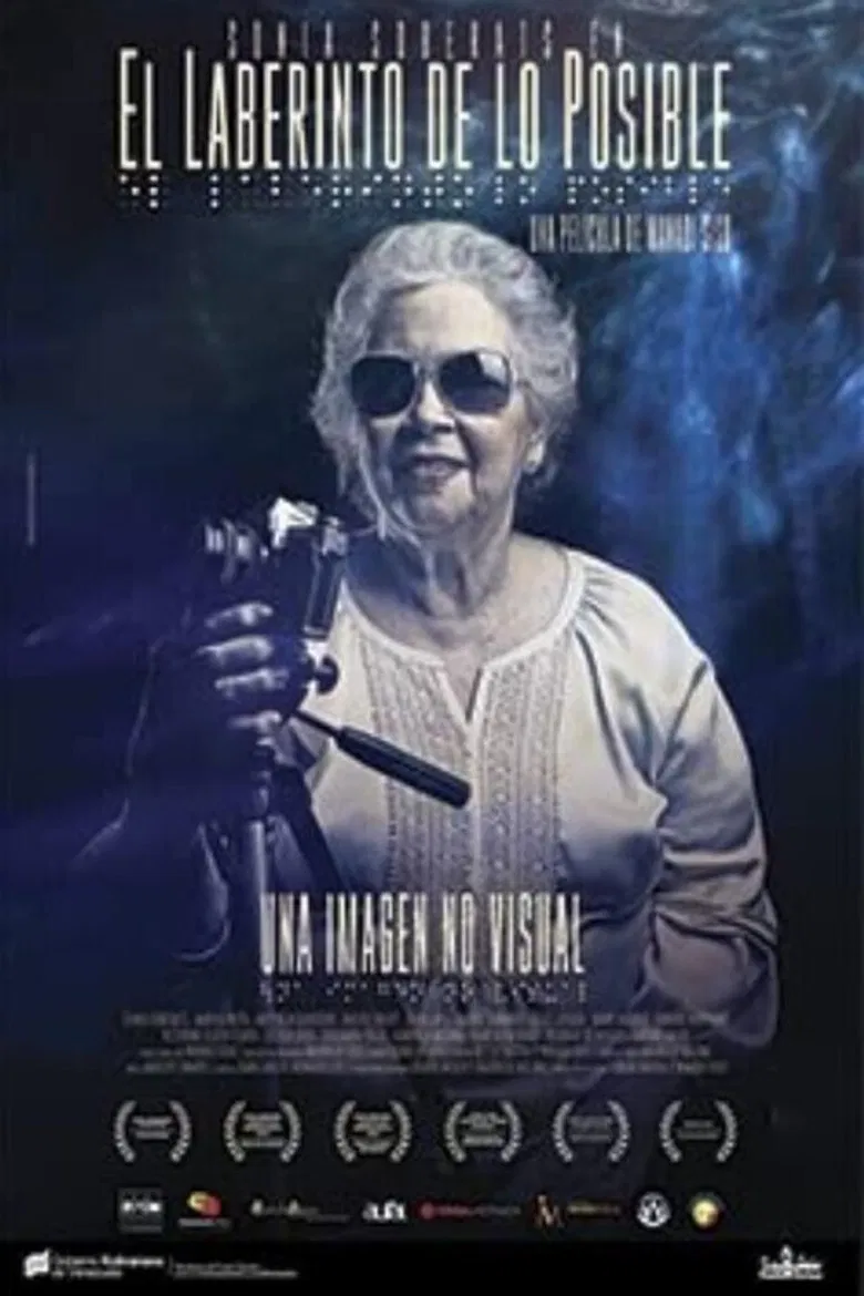 El laberinto de lo posible poster background