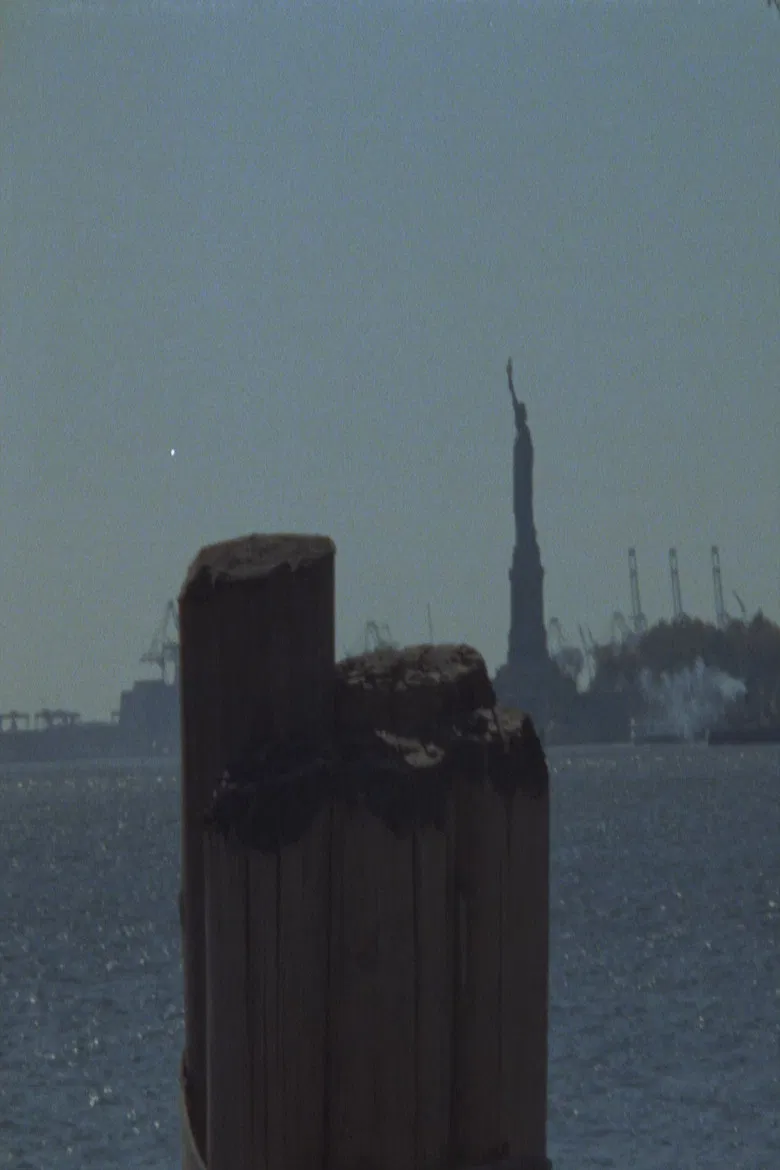 Joy And Love For All Things in the Garden poster background