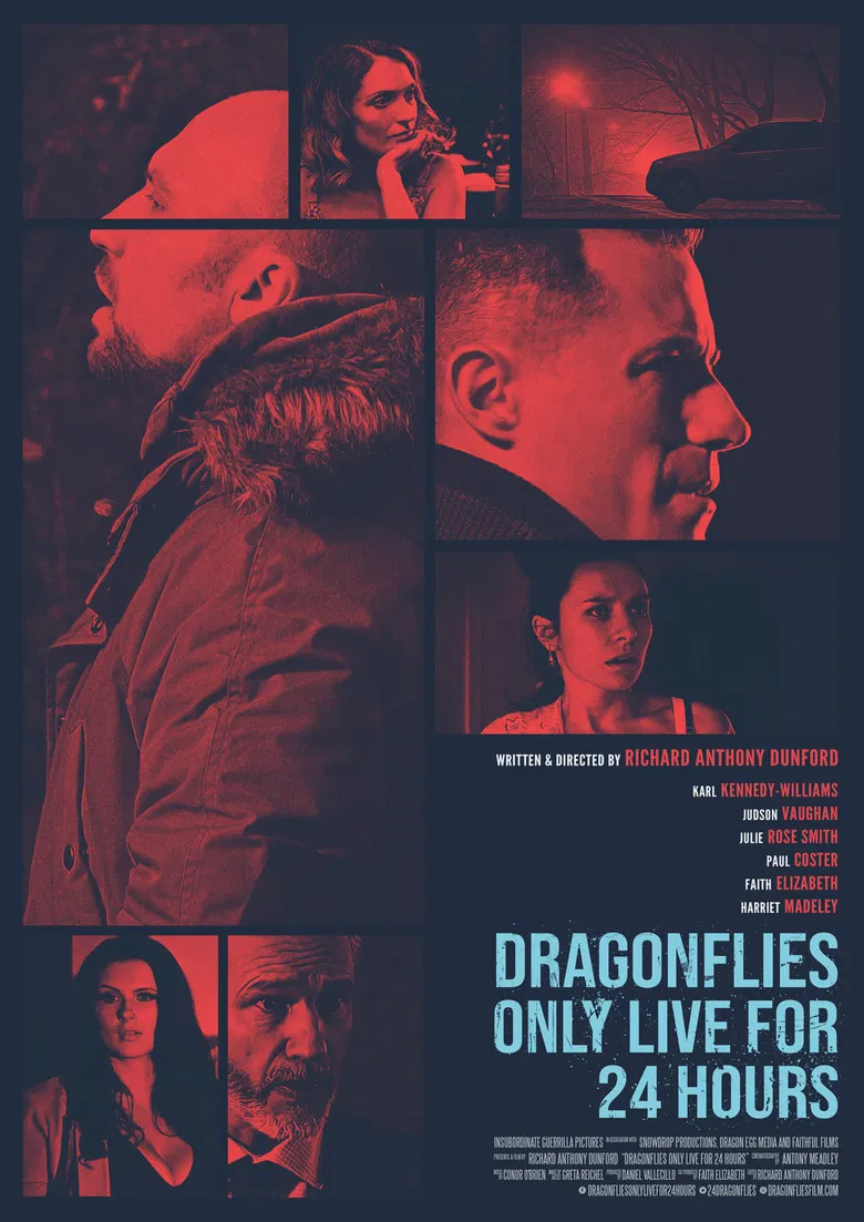 Dragonfiles Only Live for 24 Hours poster background