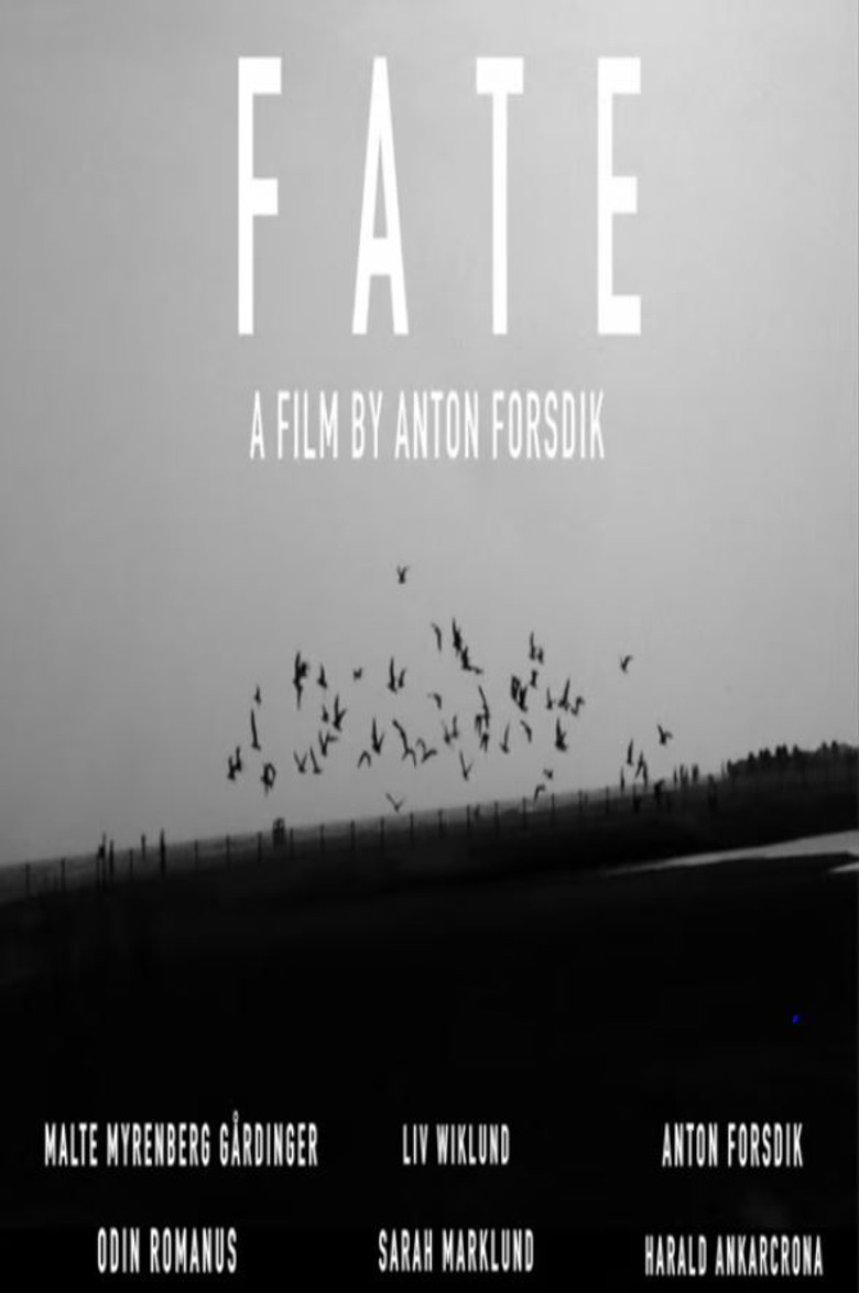 Fate poster background