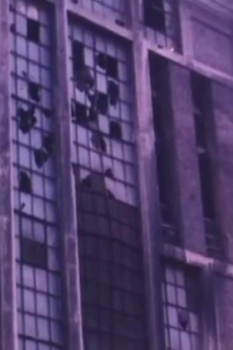 John, le dernier ouvrier sur terre, l'an 2024 poster background