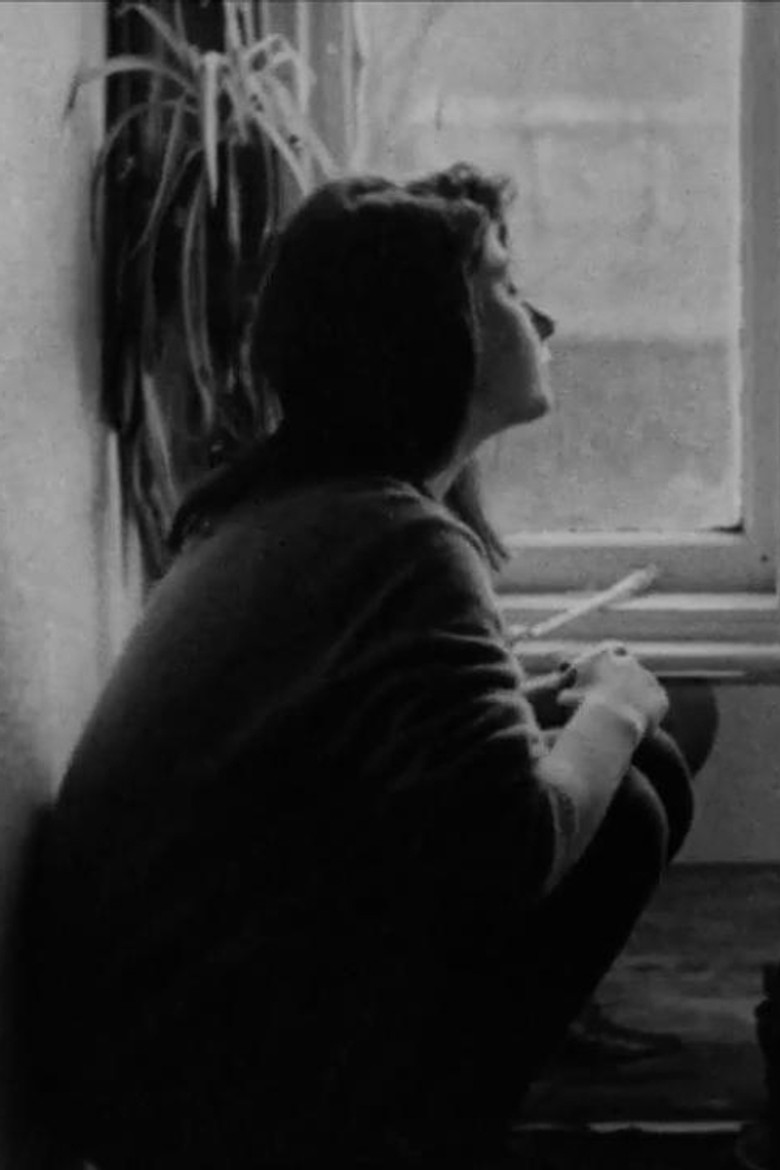 Looking for the Moon poster background