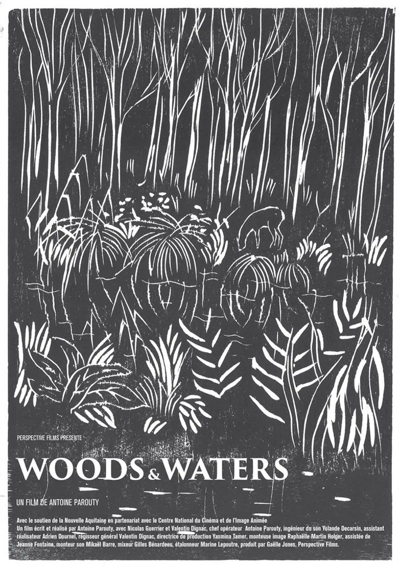 Woods and Waters poster background