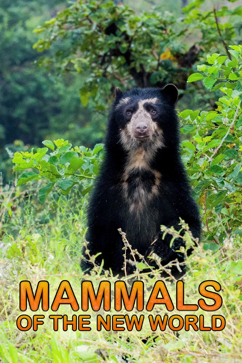 Mammals of the New World poster background