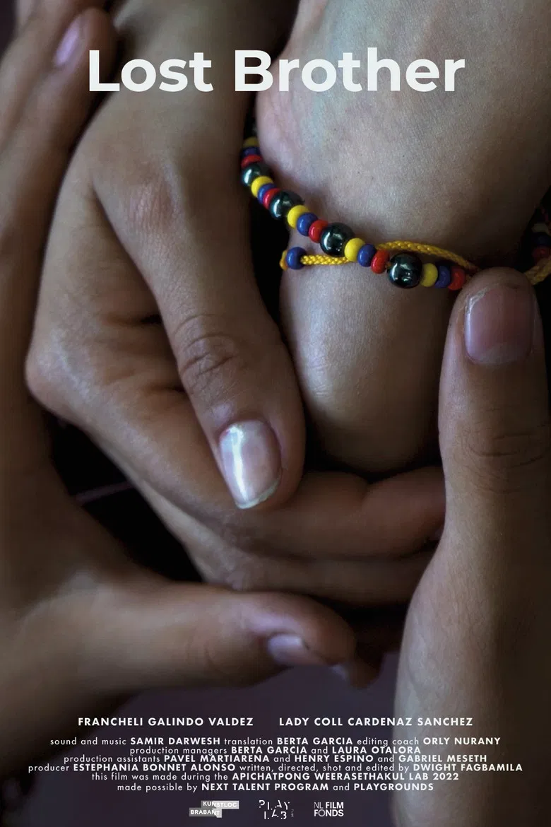 Lost Brother poster background