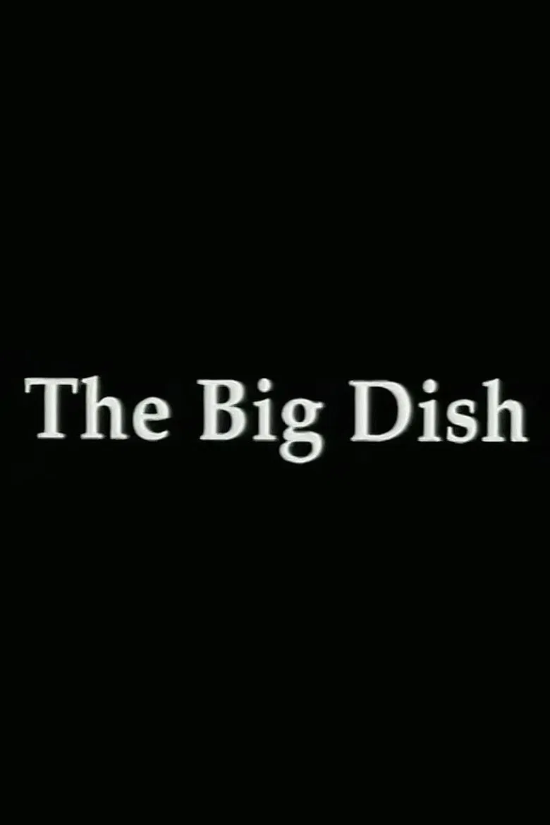 The Big Dish poster background