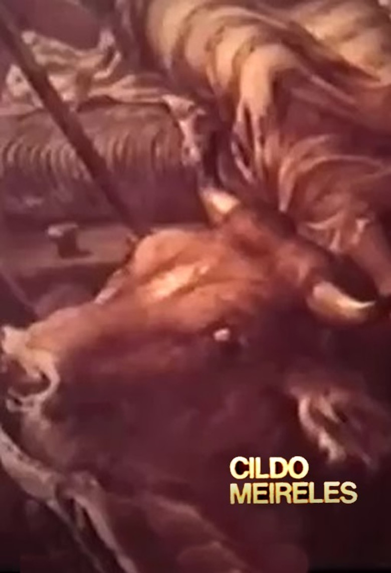 Cildo Meireles poster background