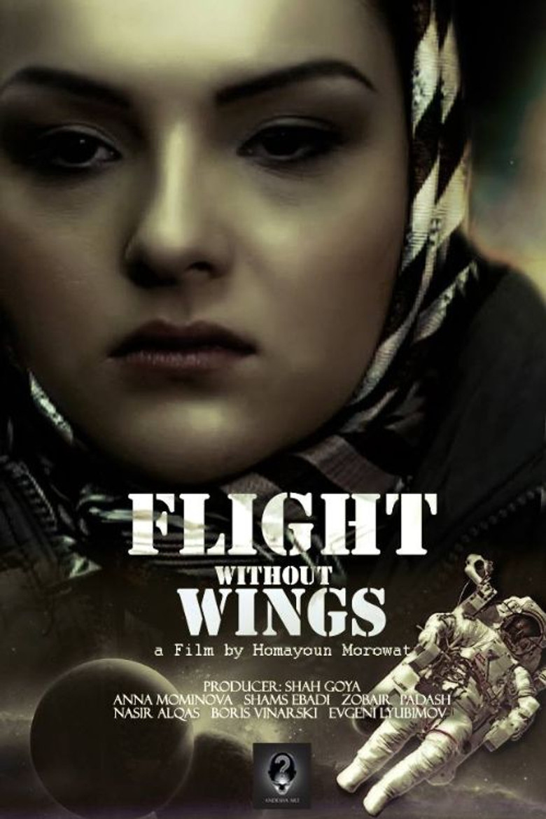 Flight Without Wings poster background