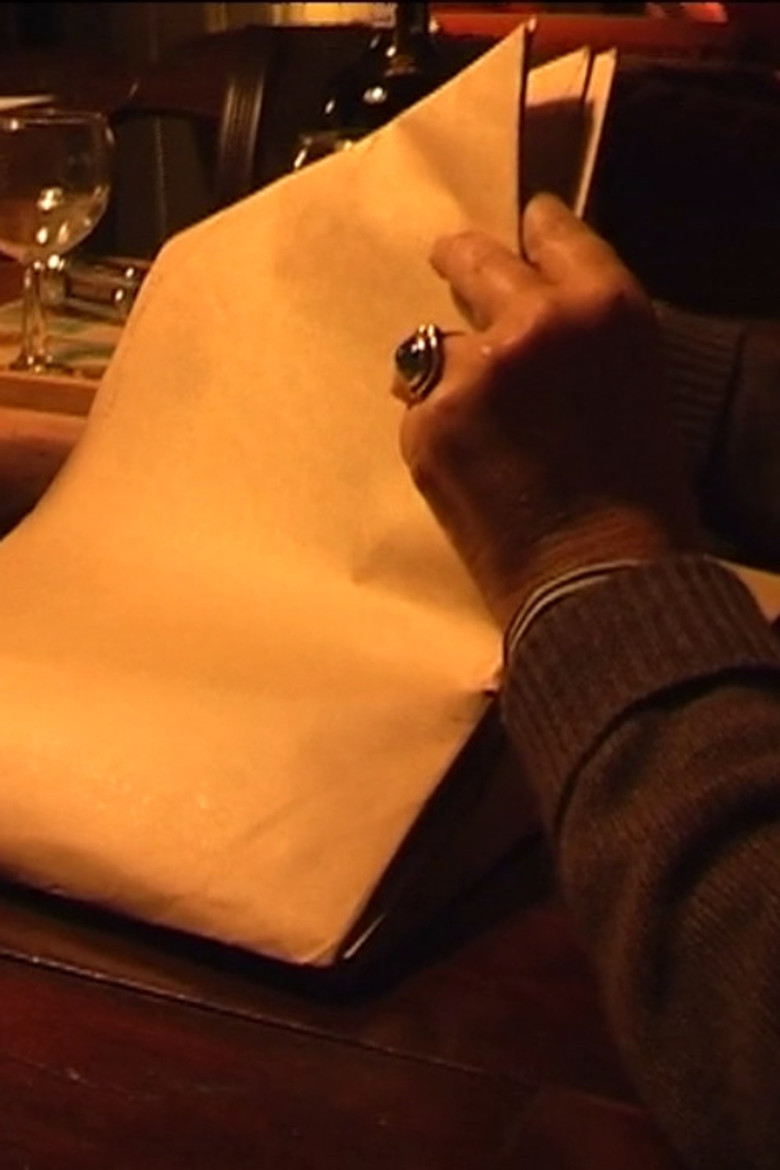 Meetings With Werner Schroeter poster background