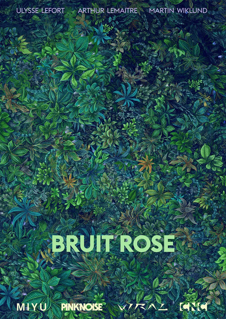Bruit Rose poster background