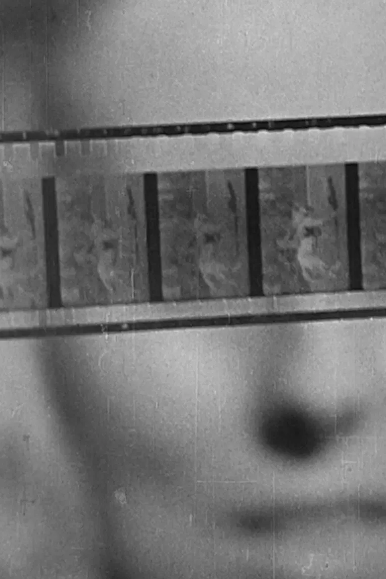 The Birth of Cinema poster background