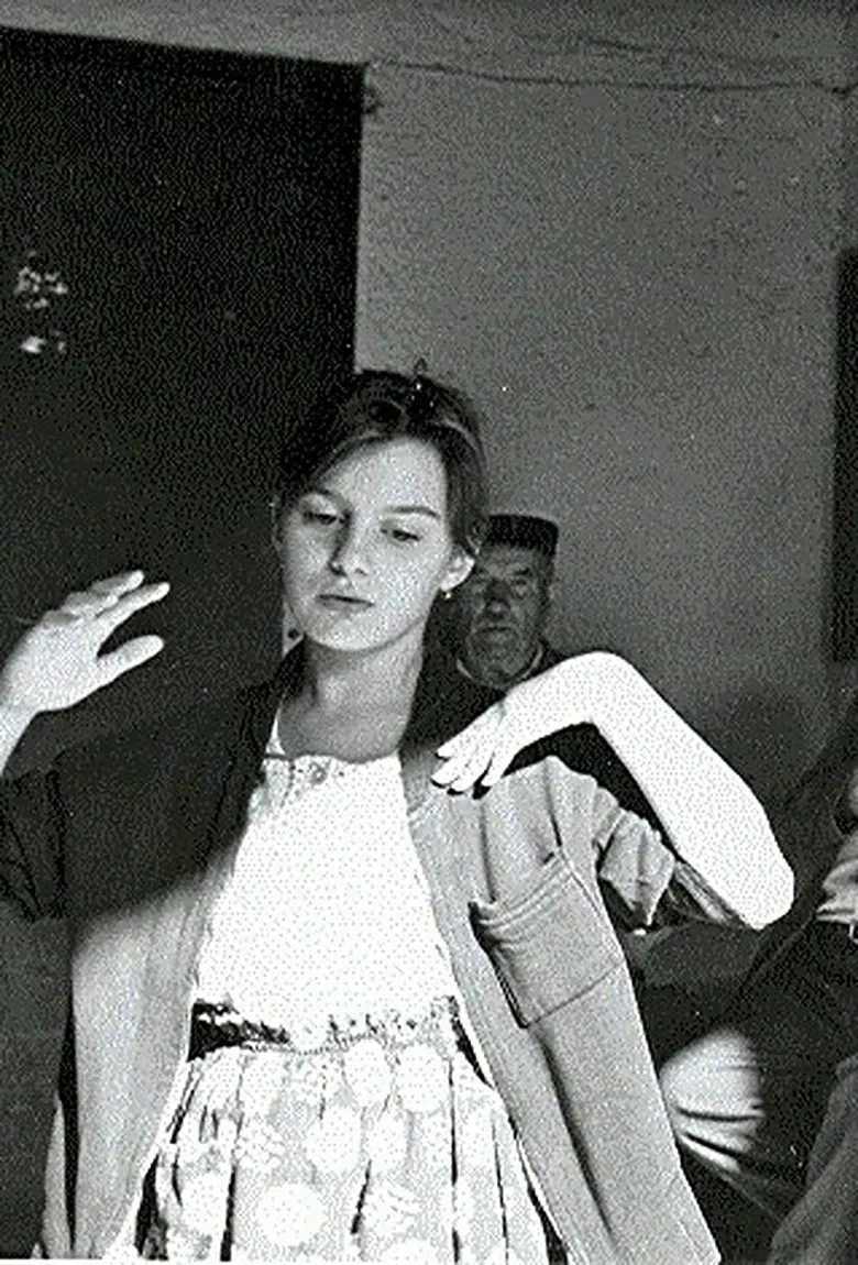 The Summer Guest poster background