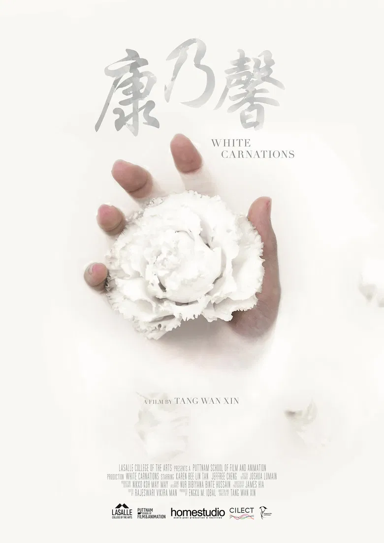 White Carnations poster background