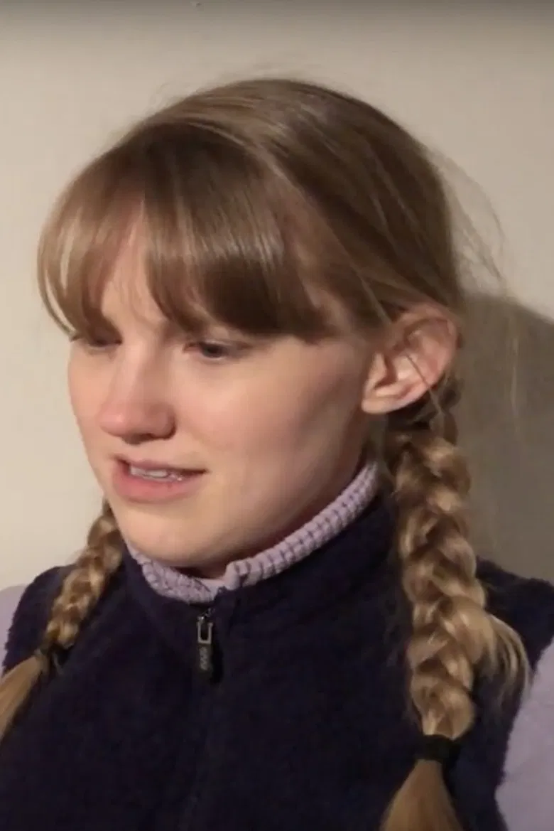 Horsegirl poster background