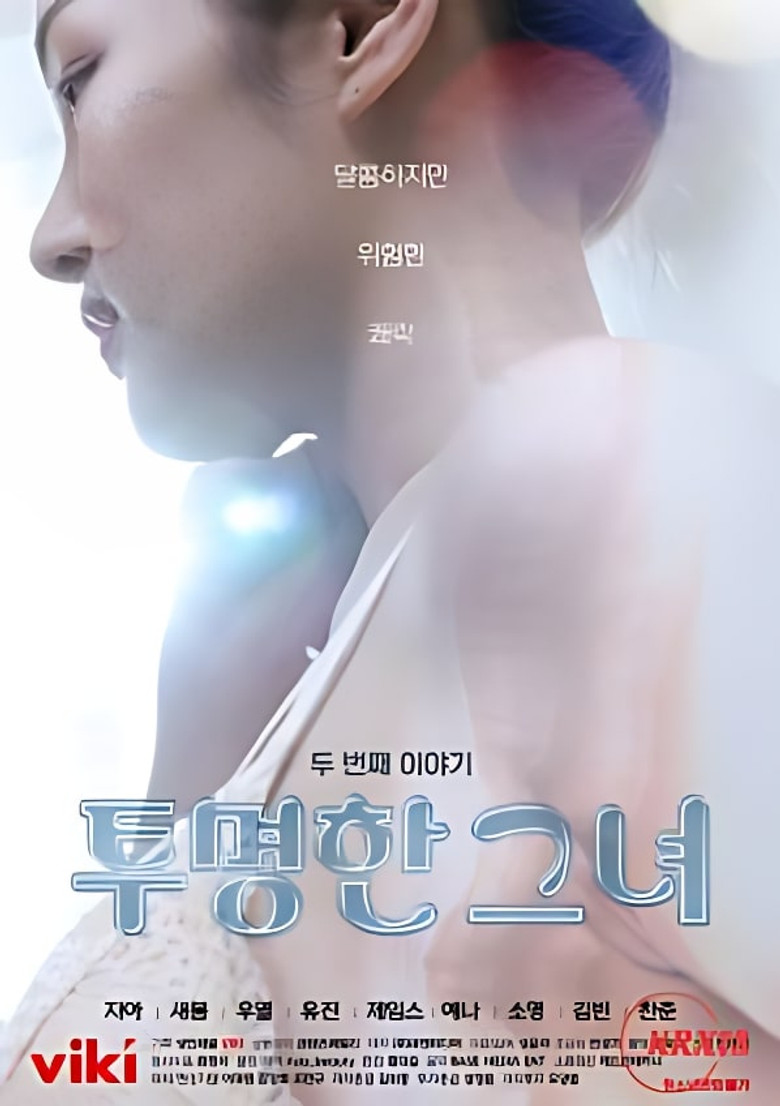 The Transparent Girls Second Story poster background