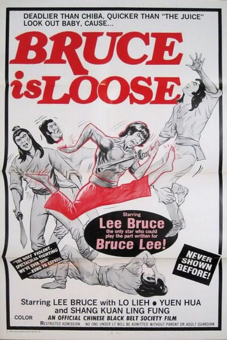 The Green Dragon Inn poster background