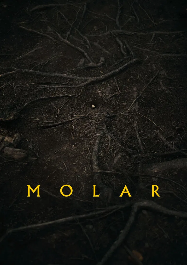 Molar poster background