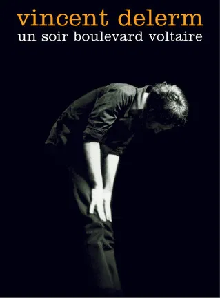 Vincent Delerm - Un soir boulevard Voltaire poster background