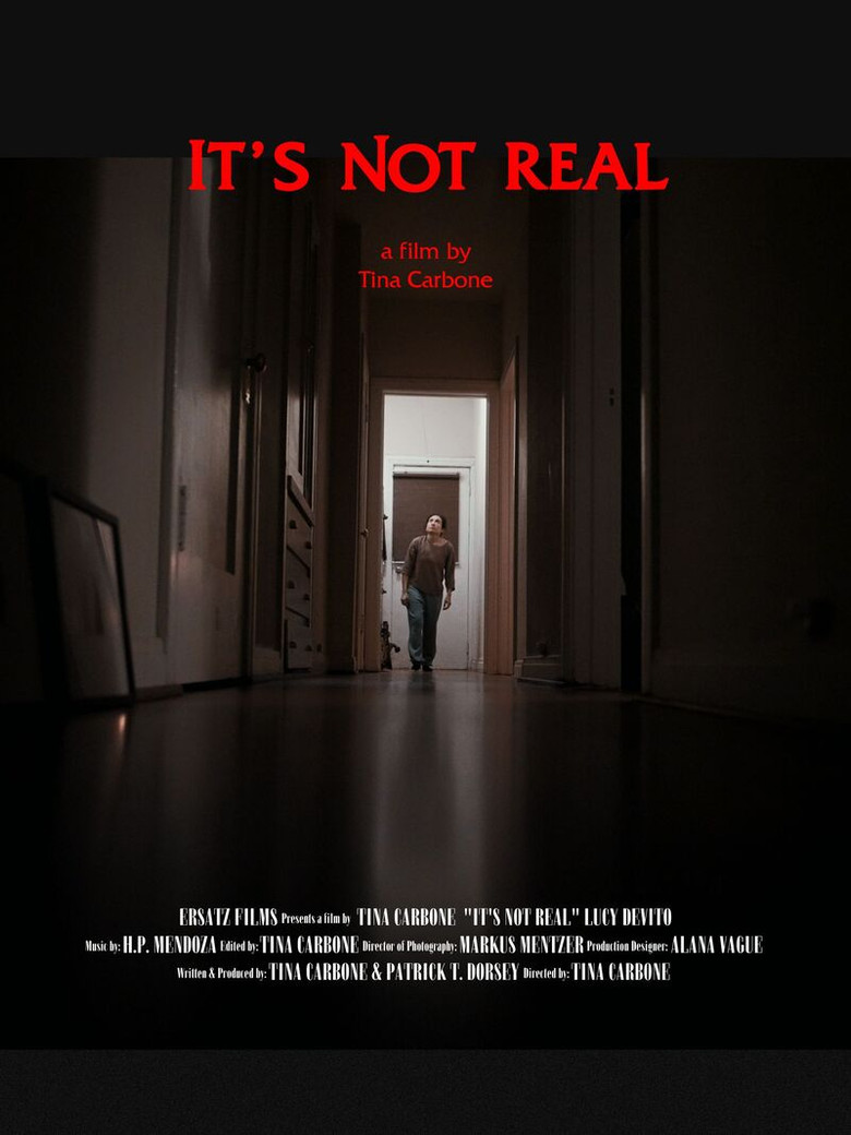 It's Not Real poster background