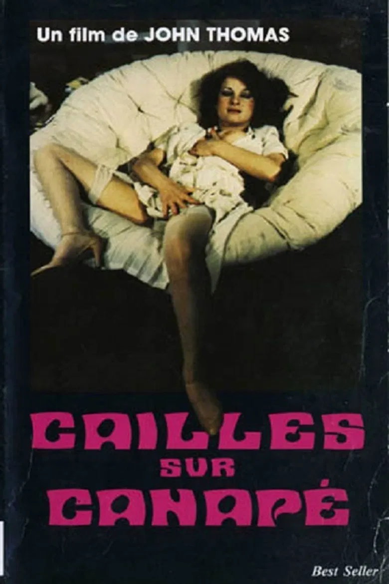 Cailles sur canapé poster background