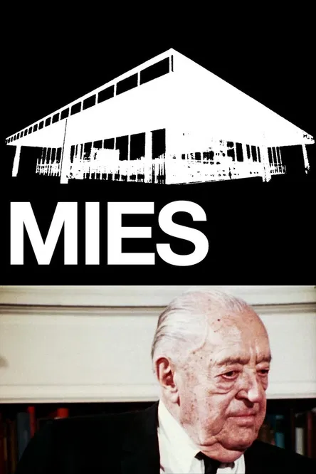 Mies poster background