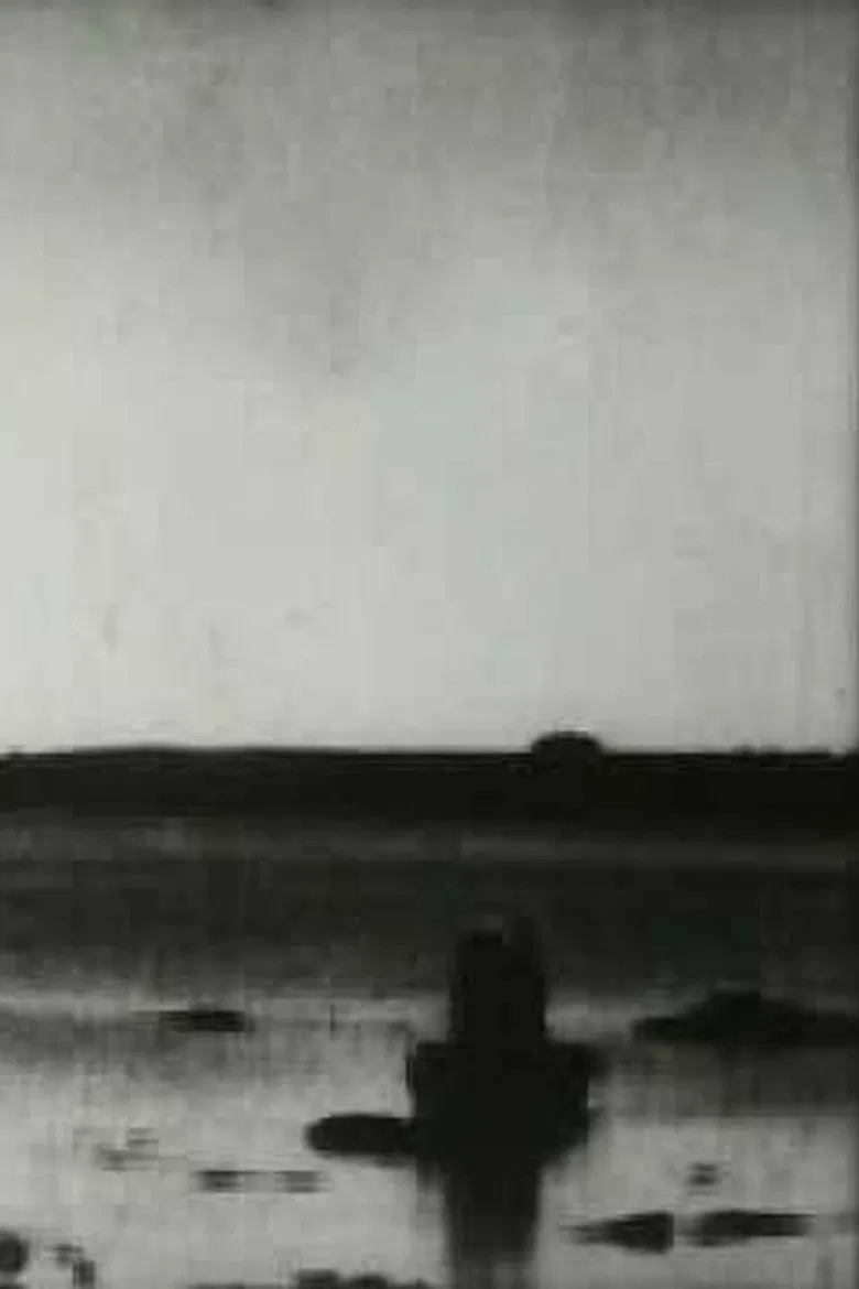 Exploding a Whitehead Torpedo poster background