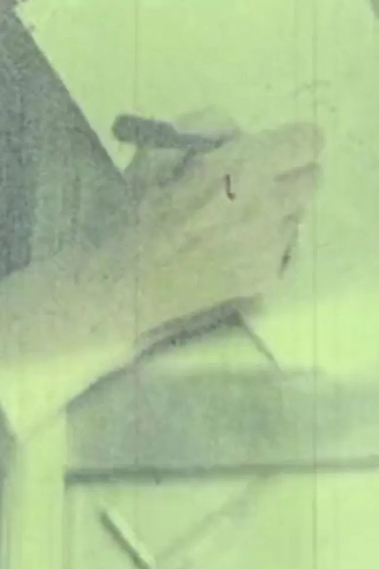 Von A bis Z im B poster background