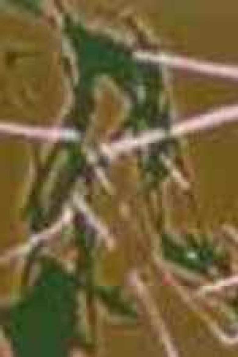 "..." Reel 2 poster background