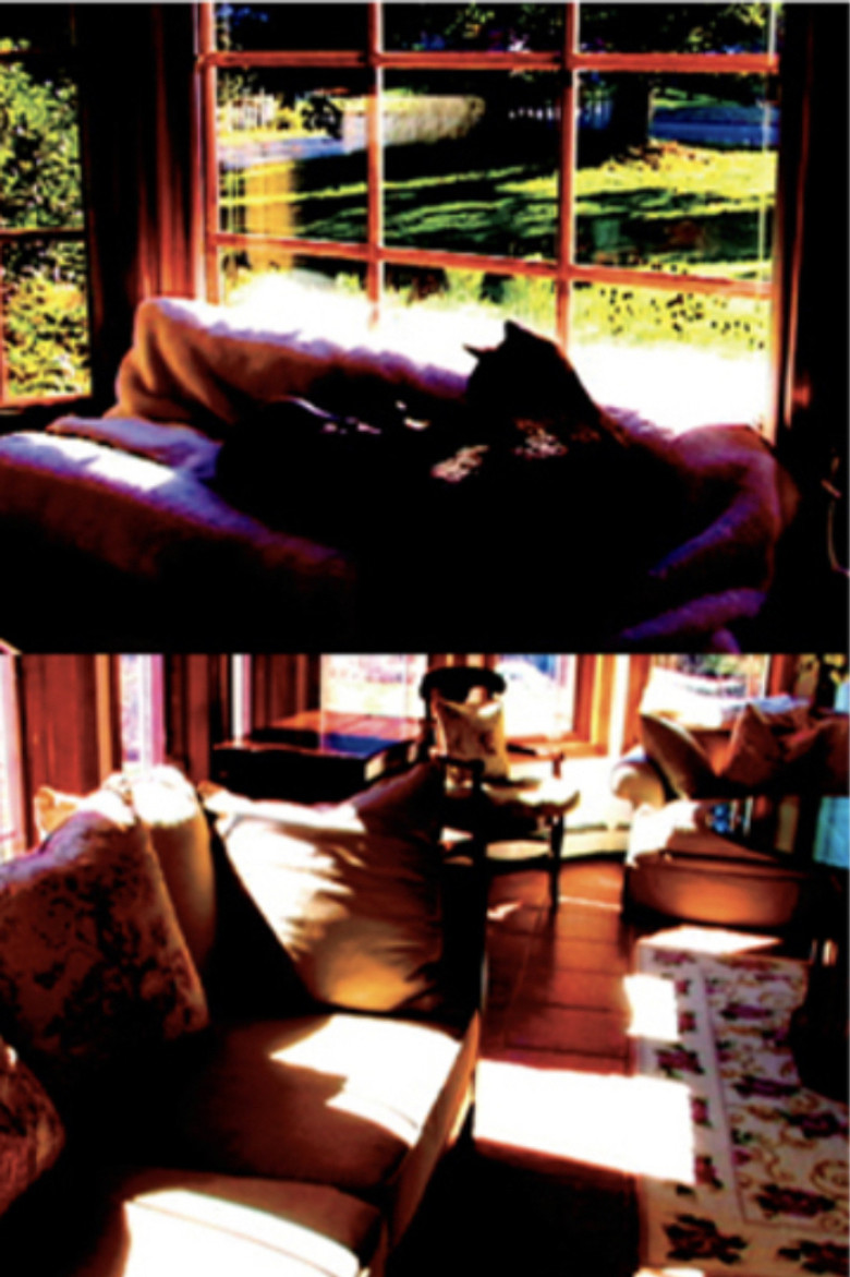 Aberration of Starlight poster background