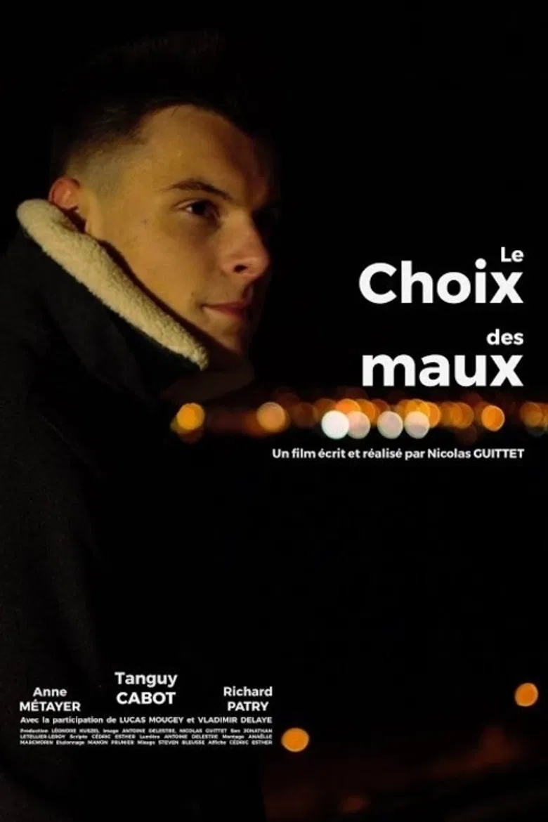 Le choix des maux poster background