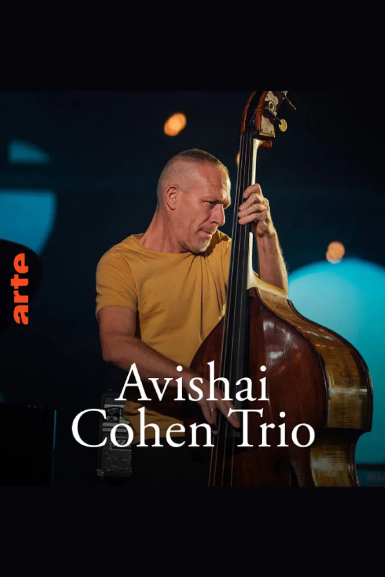 Avishai Cohen Trio – Shifting sands poster background