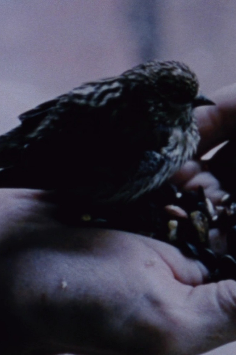 Gathering Moss poster background