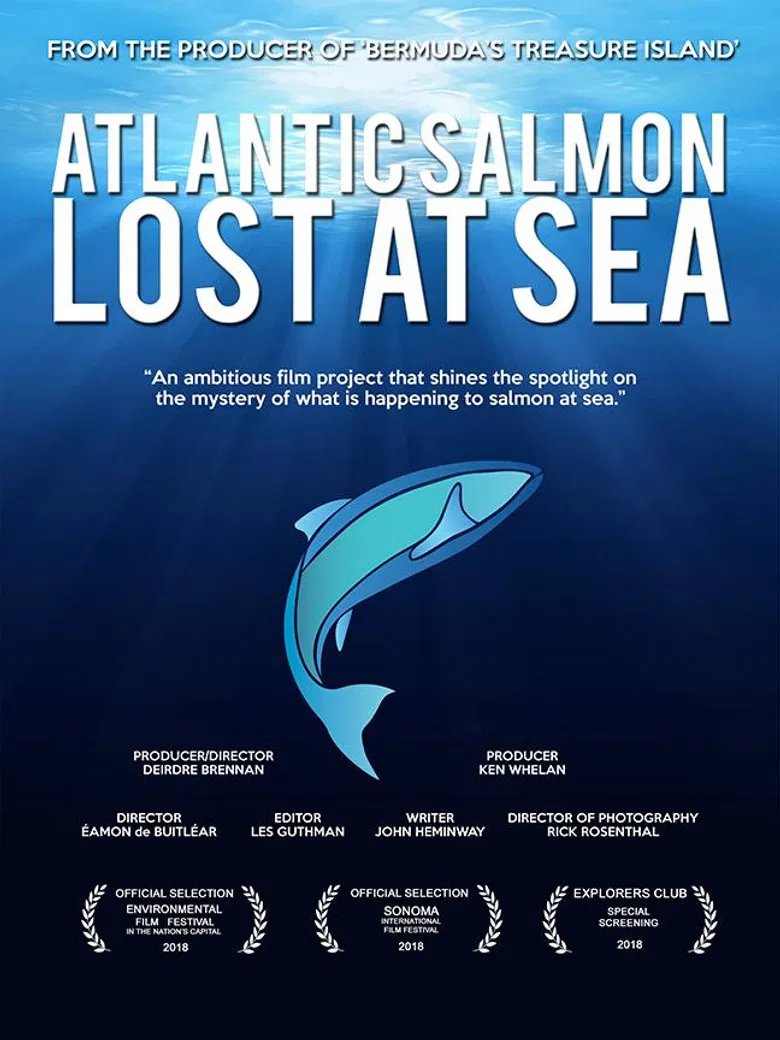 Atlantic Salmon: Lost at Sea poster background