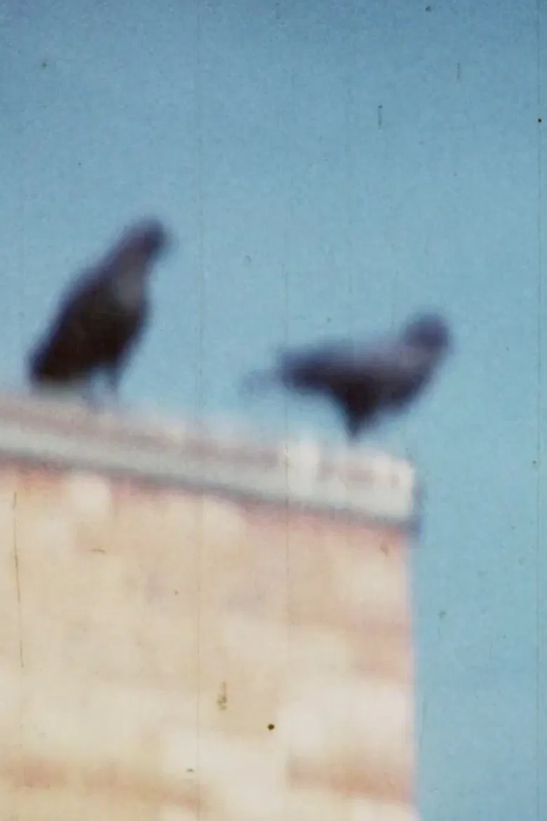 Caw Notes poster background