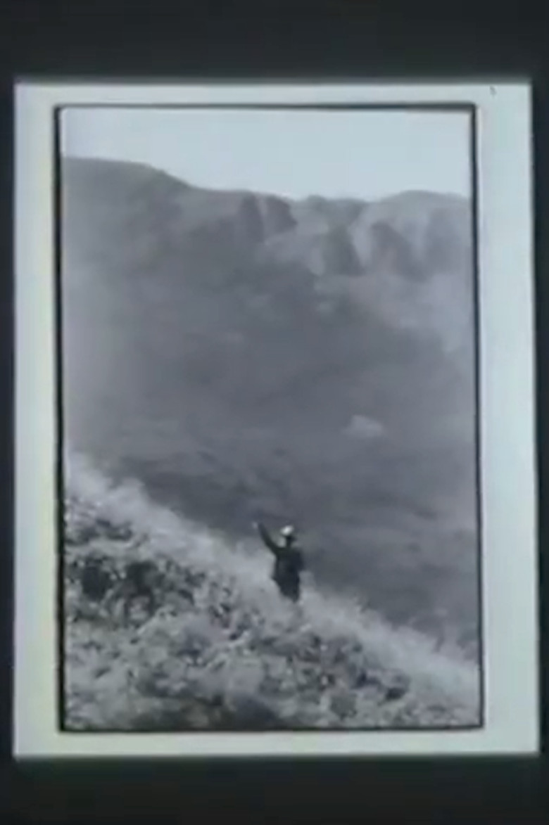 Pig Earth poster background