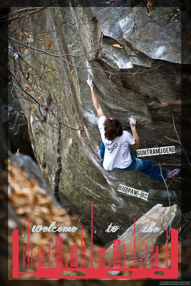 Welcome to the Hood poster background