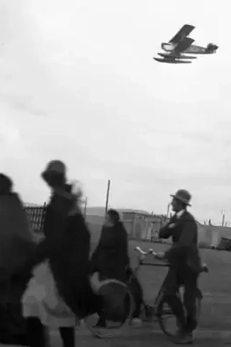 Hnattflugið poster background