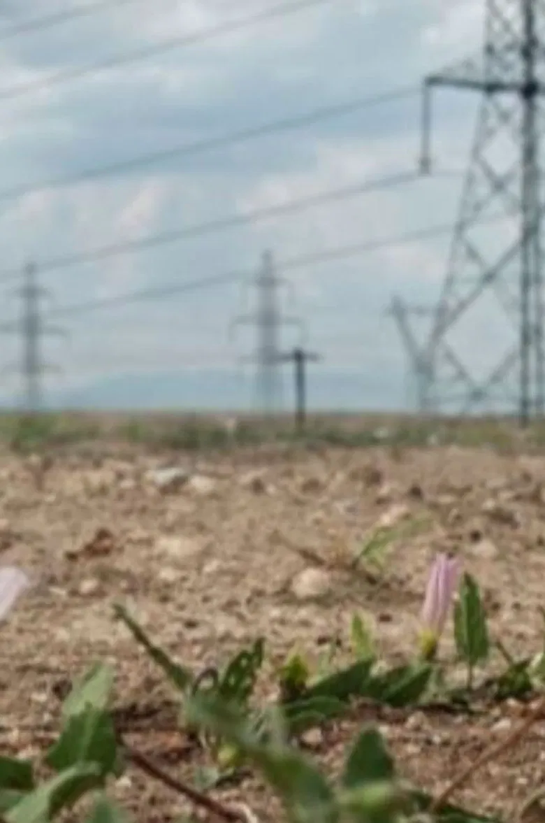 Disaster Theories: Our Planet in Flames poster background