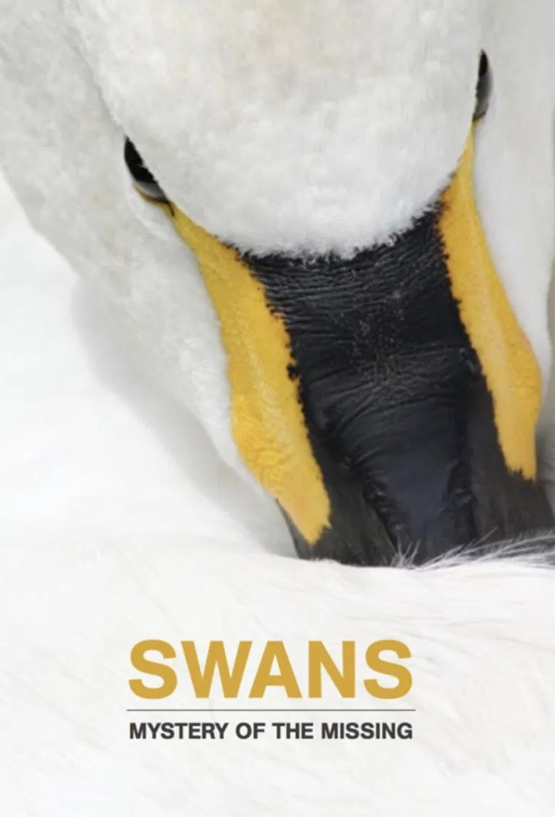 Swans: Mystery of the Missing poster background