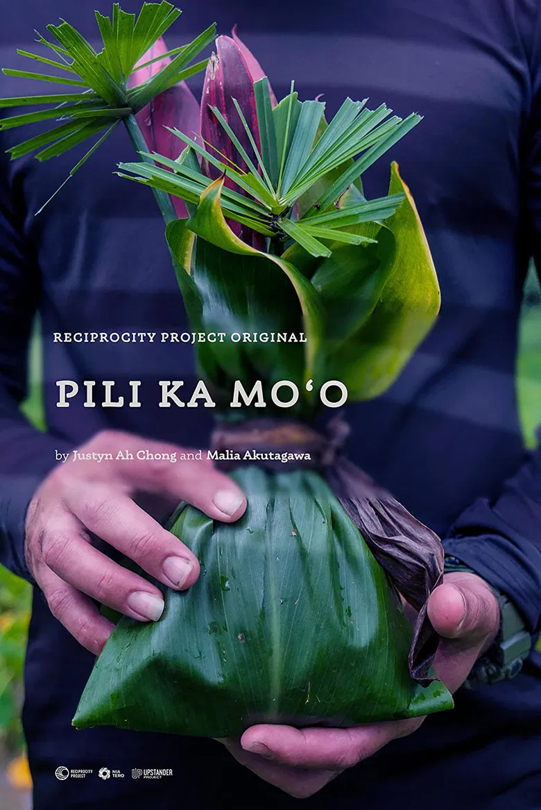 Pili Ka Moʻo poster background