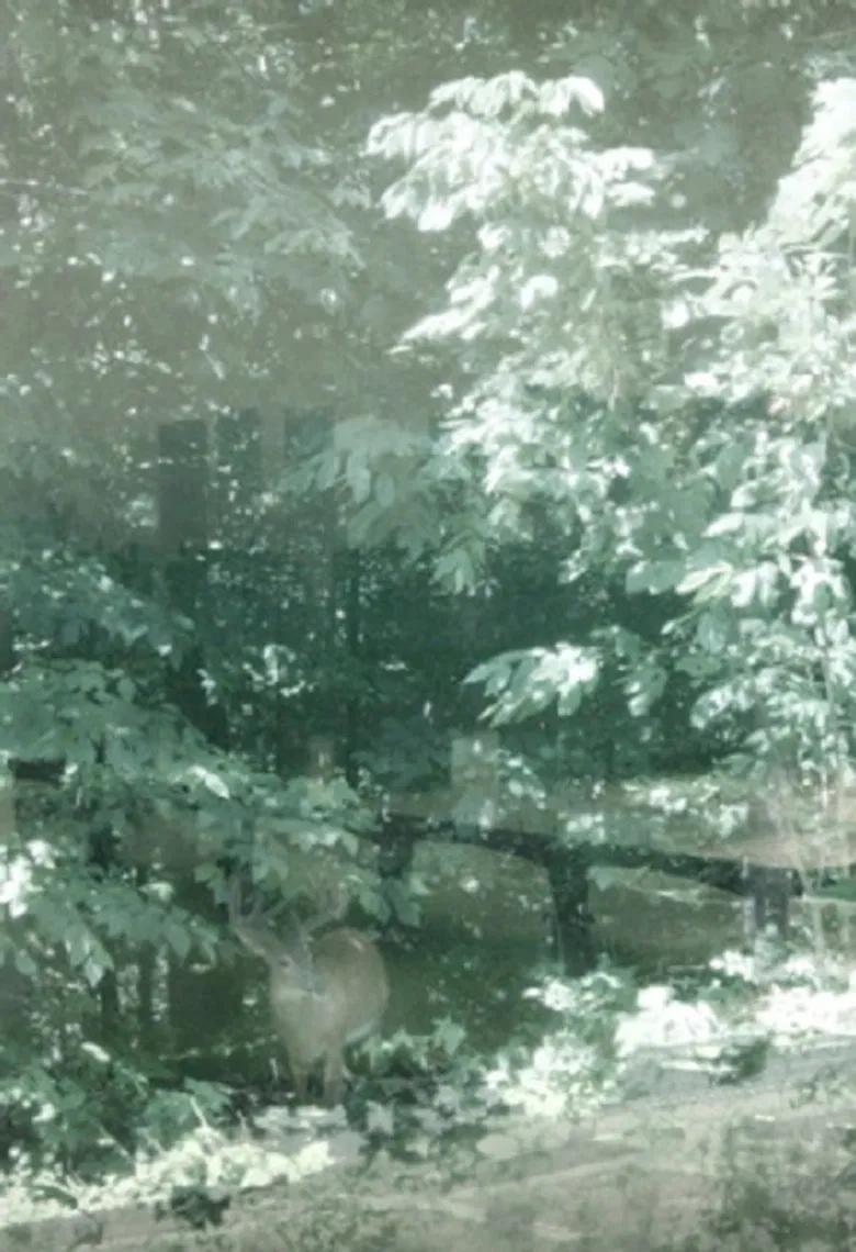 Weather, There poster background